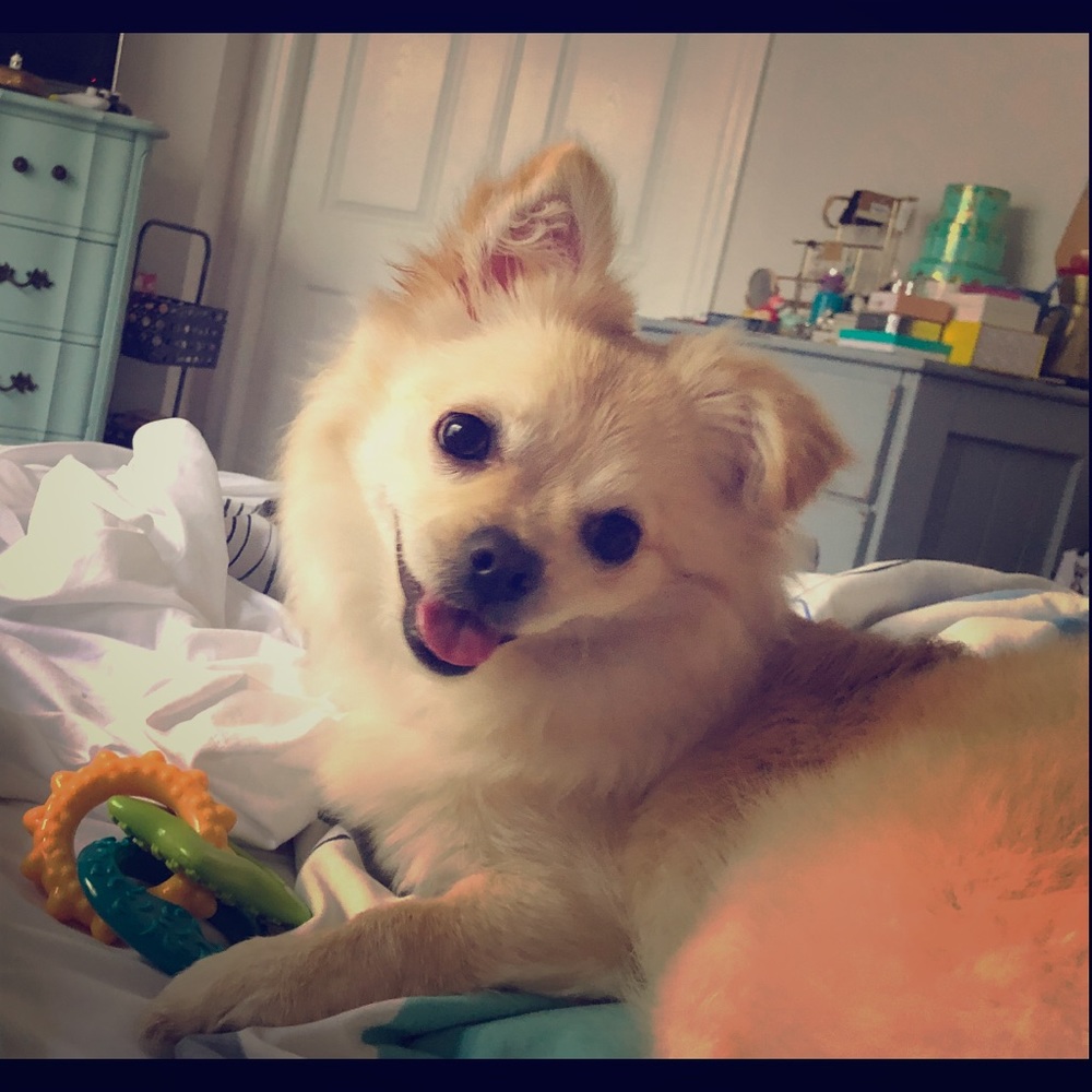 Meet your Posher, Nicole